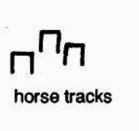 1480558744_pictograph_horsetracks.jpg