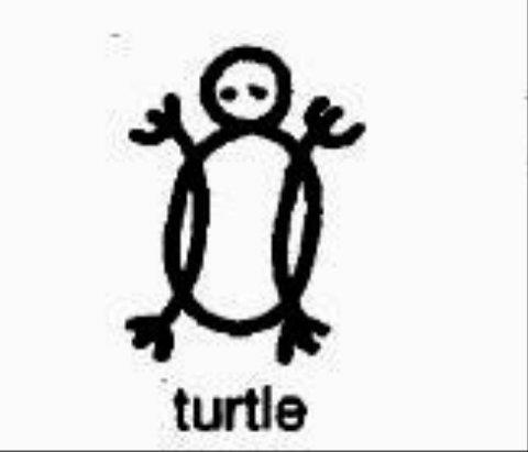 1480558819_pictograph_turtle.jpg