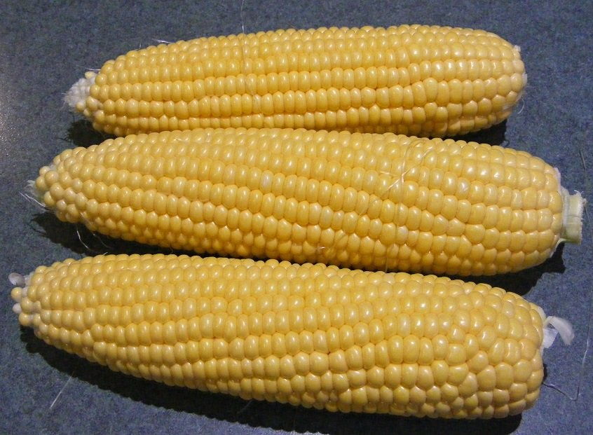 1575706079_corn_2.jpg