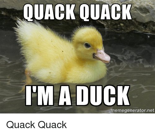 1531997739_quack-quack-im-a-duck-meme-generator-net-quack-quack-193911301.jpg