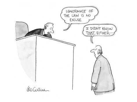 1506160987_leo-cullum-judge-says-to-defendant-ignorance-of-the-law-is-no-excuse-defendant-r-cartoon.jpg